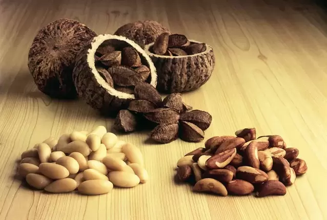 nueces de Brasil para potenciar